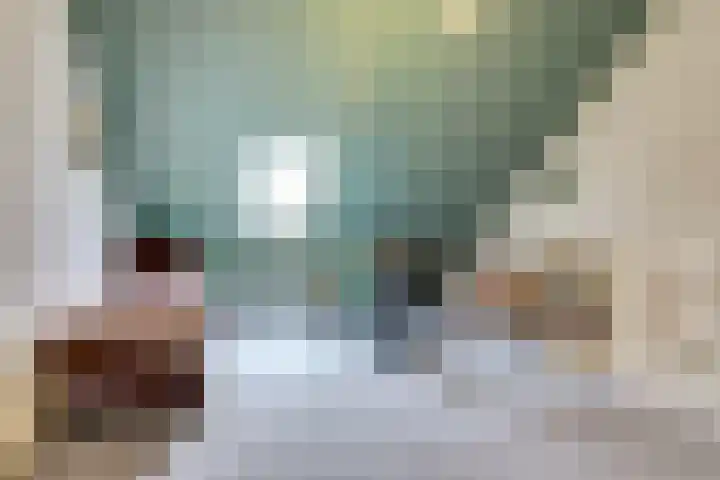 Krokus 24 Andijk thumbnail 15