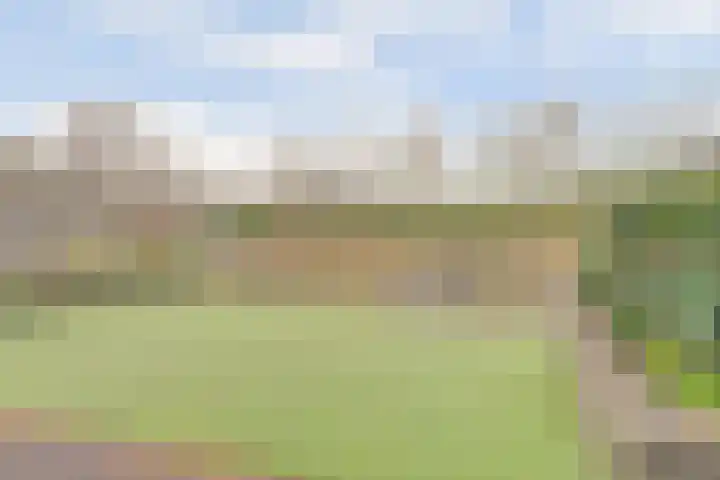 Krokus 24 Andijk thumbnail 17