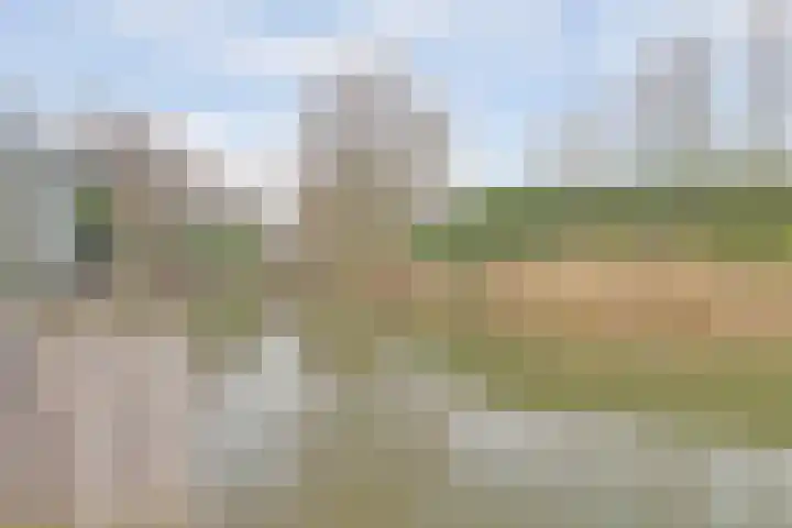 Krokus 24 Andijk thumbnail 19