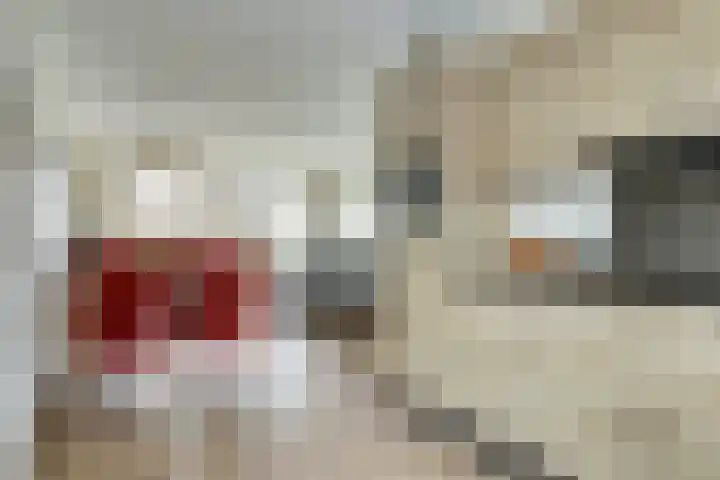 Krokus 24 Andijk thumbnail 6