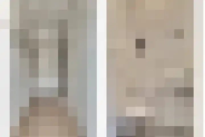 Krokus 24 Andijk thumbnail 8