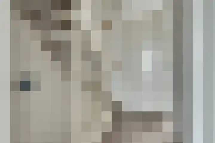 Krokus 24 Andijk thumbnail 9