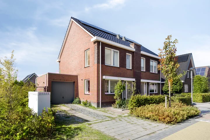 Krokus 36 in Andijk foto