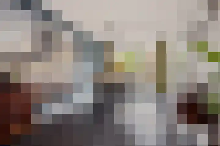 Krollerbocht 27 Liempde thumbnail 21