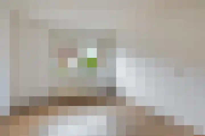 Kromdel 18 Koedijk thumbnail 16