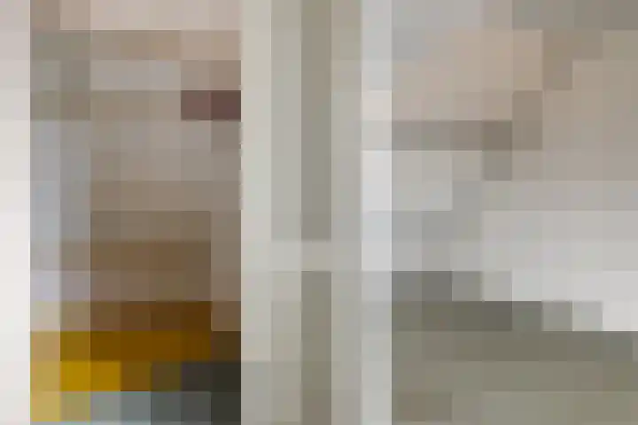 Kromdel 18 Koedijk thumbnail 25