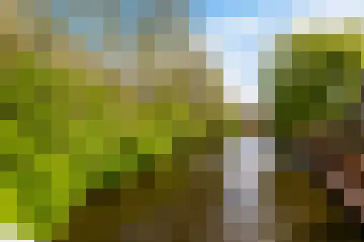 Kromdel 18 Koedijk thumbnail 35