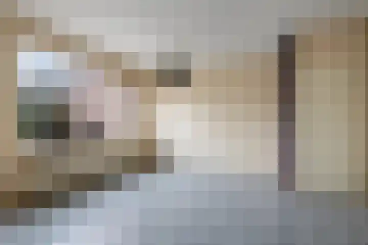 Kromdel 18 Koedijk thumbnail 8