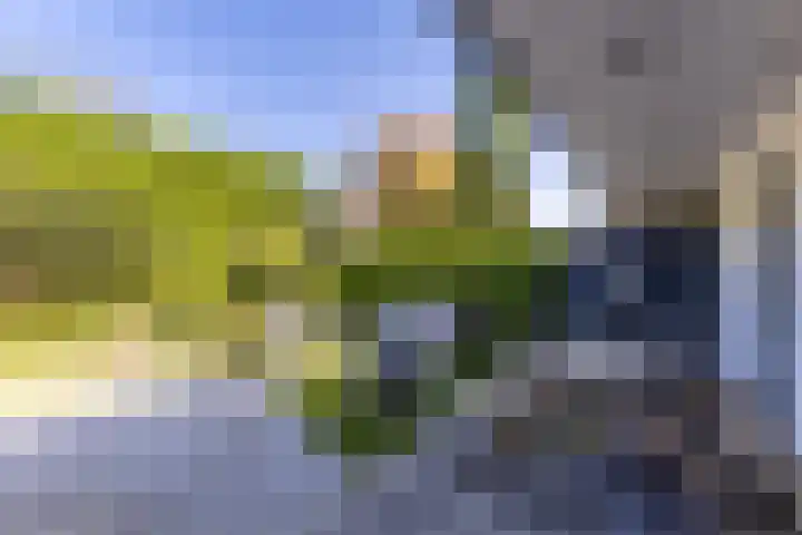 Kromgouw 32 Almere thumbnail 52