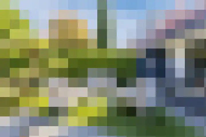 Kromgouw 32 Almere thumbnail 55