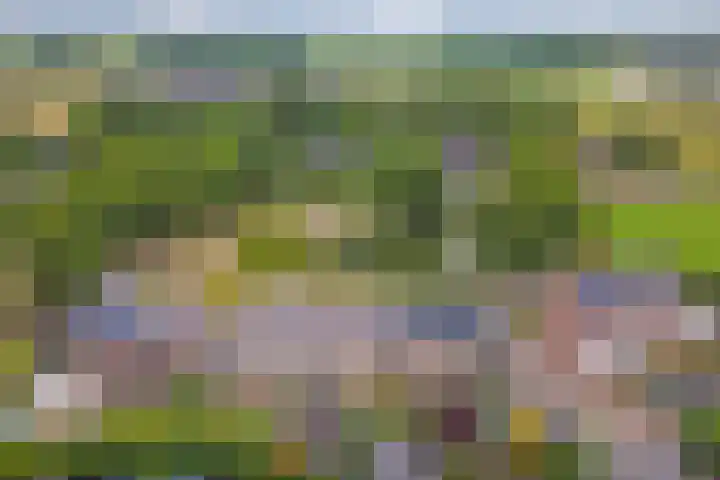 Kromhals 10 Velden thumbnail 29