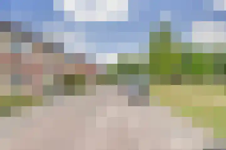 Kromhals 10 Velden thumbnail 33