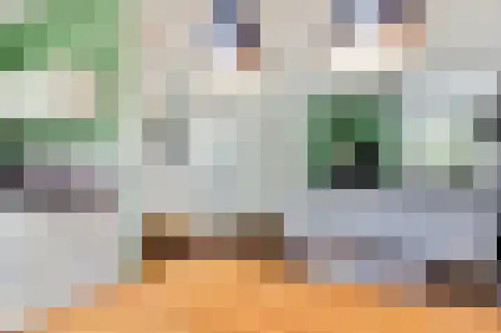 Kromhals 10 Velden thumbnail 8