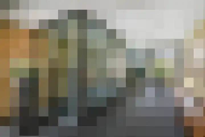 Kromhoutstraat 16 Deventer thumbnail 24
