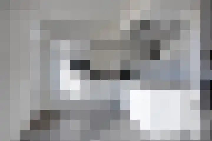 Kromlandt 10 Beugen thumbnail 12