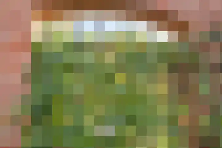 Kromlandt 10 Beugen thumbnail 20
