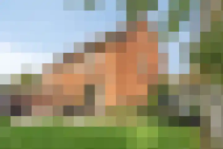 Kromlandt 10 Beugen thumbnail 21