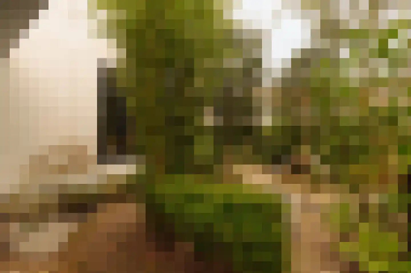 Kromme Englaan 11 Bussum thumbnail 39