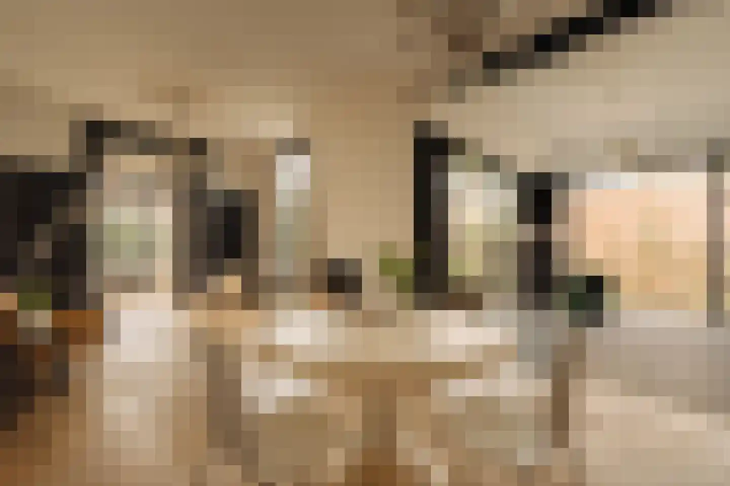 Kromme Englaan 11 Bussum thumbnail 4