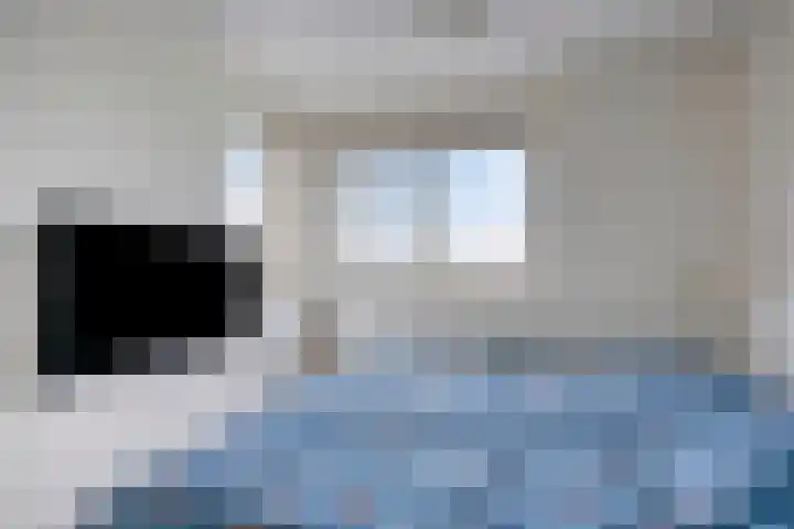 Kromme Riet 9 Groningen thumbnail 14