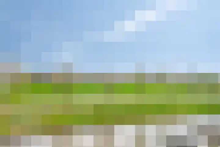 Kromme Riet 9 Groningen thumbnail 21
