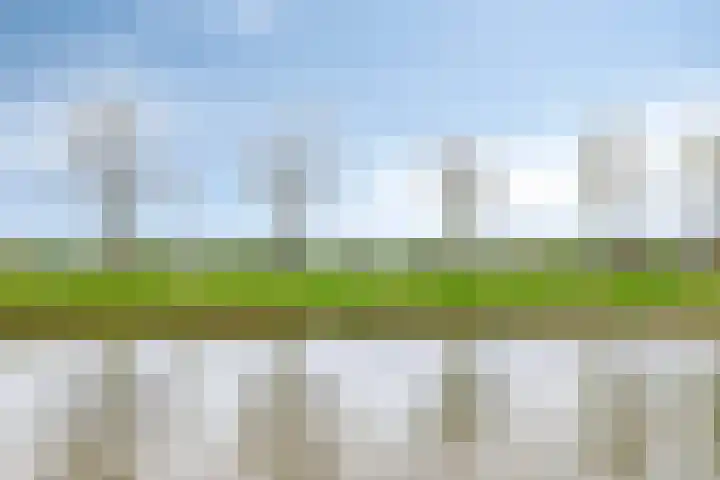 Kromme Riet 9 Groningen thumbnail 29
