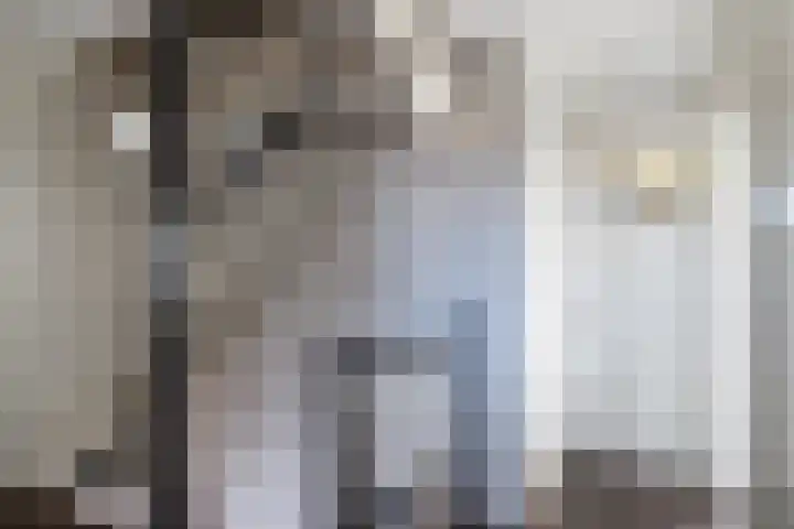 Kromme Stelakker 14 Cothen thumbnail 28
