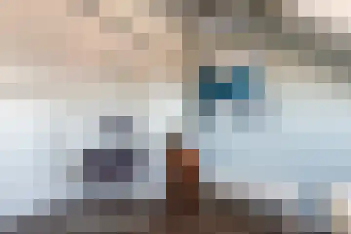Kromme Stelakker 14 Cothen thumbnail 30