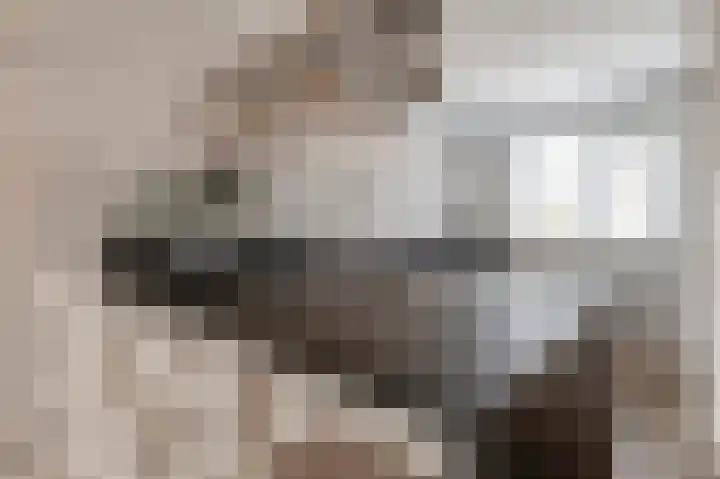 Kromme Stelakker 71 Cothen thumbnail 14
