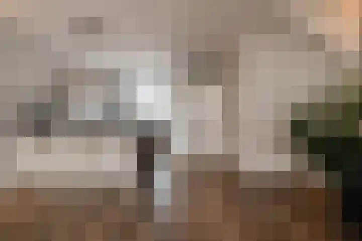 Kromme Stelakker 71 Cothen thumbnail 18