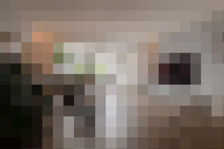 Kromme Stelakker 71 Cothen thumbnail 19