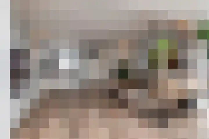 Kromme Stelakker 71 Cothen thumbnail 21