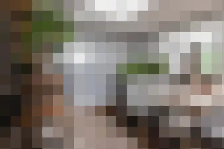 Kromme Stelakker 71 Cothen thumbnail 24