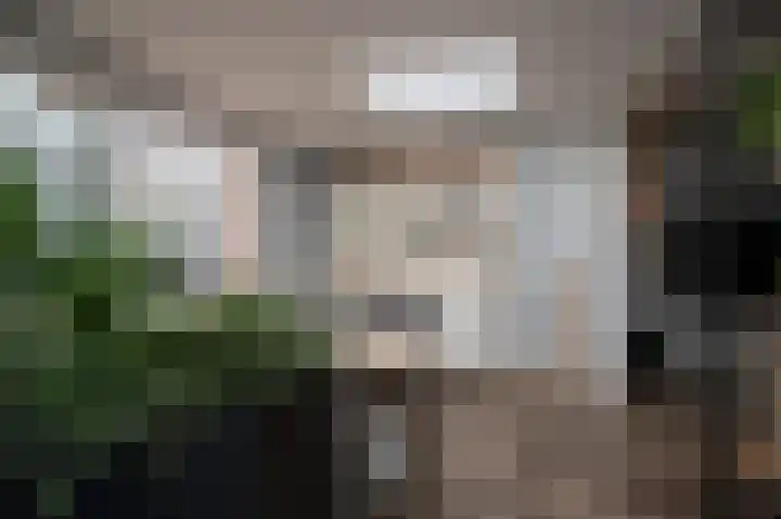 Kromme Stelakker 71 Cothen thumbnail 25