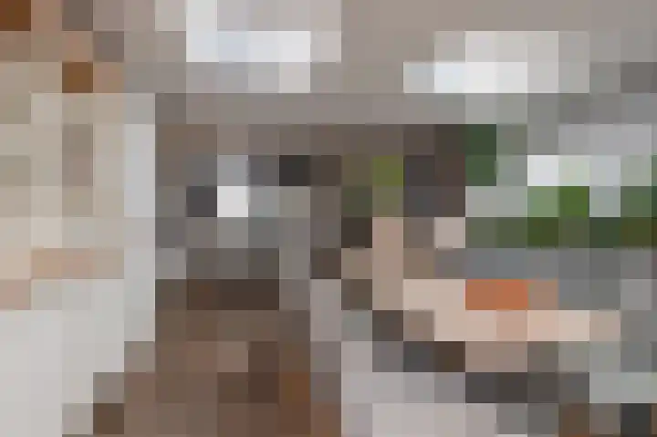 Kromme Stelakker 71 Cothen thumbnail 26