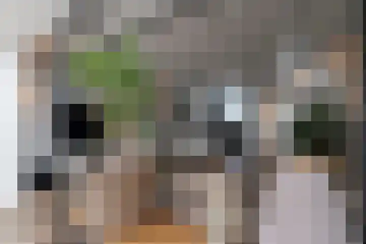 Kromme Stelakker 71 Cothen thumbnail 27