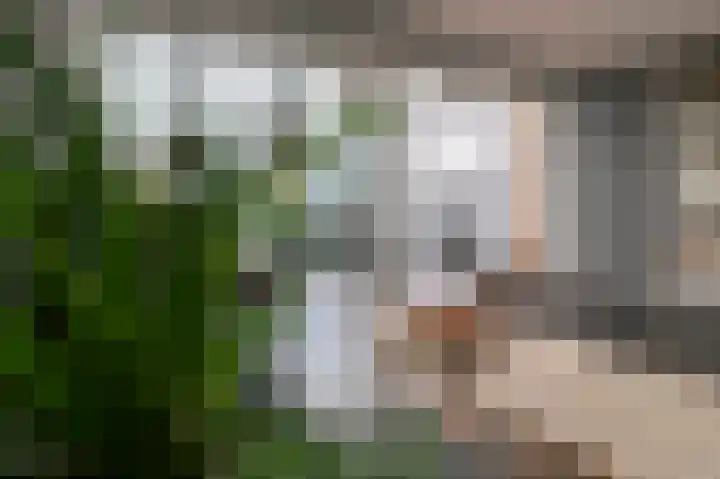 Kromme Stelakker 71 Cothen thumbnail 28