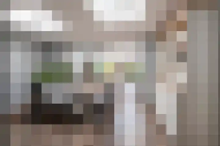 Kromme Stelakker 71 Cothen thumbnail 29