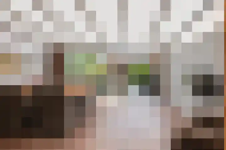 Kromme Stelakker 71 Cothen thumbnail 30