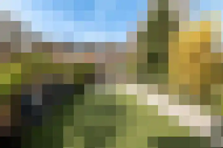 Kromme Stelakker 71 Cothen thumbnail 35