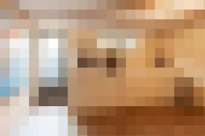 Kromme Stelakker 71 Cothen thumbnail 40