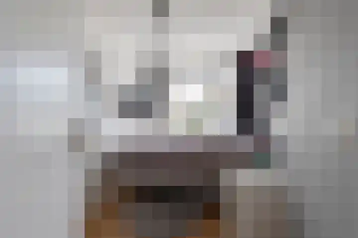 Kromme Stelakker 71 Cothen thumbnail 53