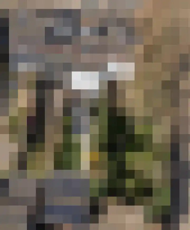Kromme Stelakker 71 Cothen thumbnail 58