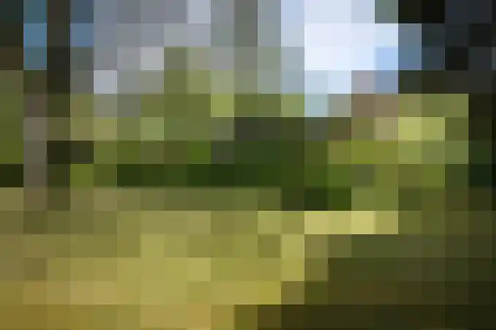 Krommesteeg 2 Odijk