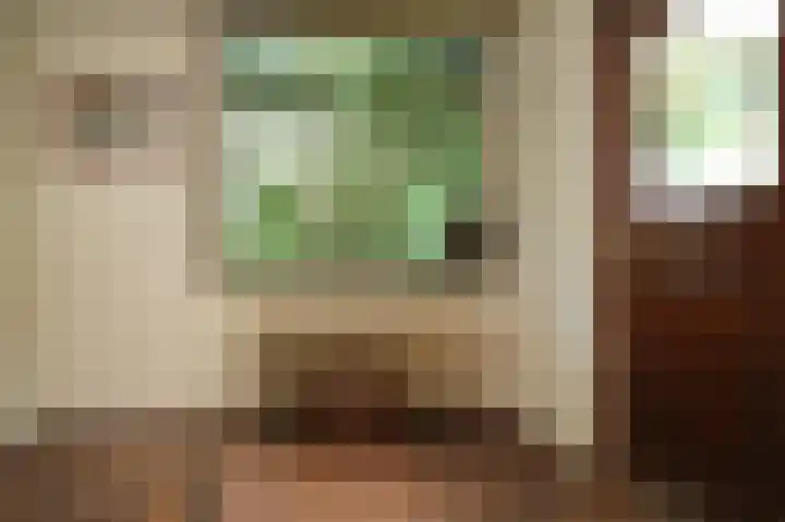 Krommesteeg 2 Odijk thumbnail 14