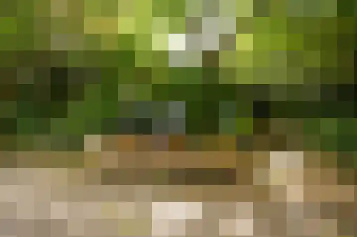 Krommesteeg 2 Odijk thumbnail 15