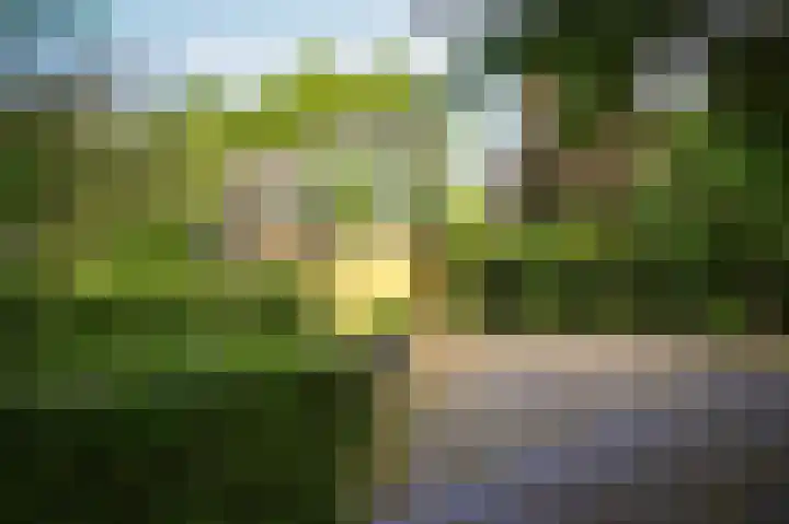 Krommesteeg 2 Odijk thumbnail 16