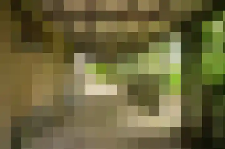 Krommesteeg 2 Odijk thumbnail 17