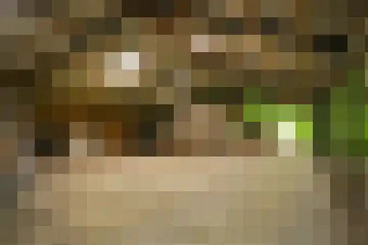 Krommesteeg 2 Odijk thumbnail 18