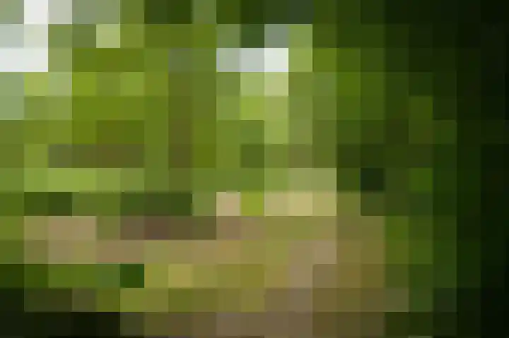 Krommesteeg 2 Odijk thumbnail 19
